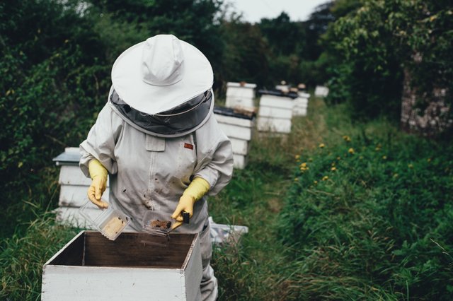 The honey can be found in everything from beers to body balms and other hotel amenities.