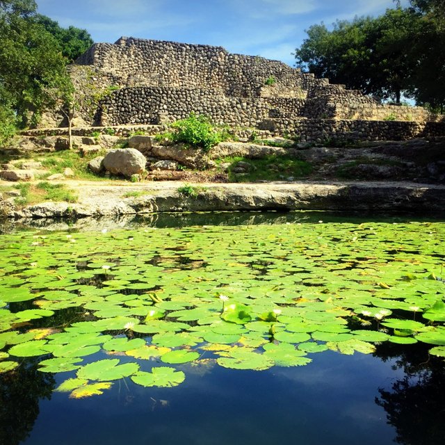 Swim among the waterlilies at Dzibilchaltún’s cenotes.