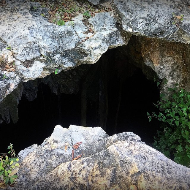 Cenotes are sacred in Mayan culture — it’s where Mayans would make offerings to the gods.