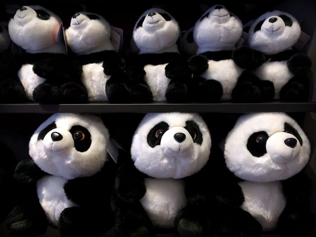 Buy one, save one. San Diego Zoo gift shop actively supports their panda conservation work.