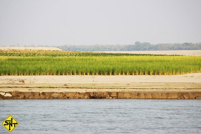  Myanmar - De Mandalay para Bagan de barco - Siga Nossa Trilha