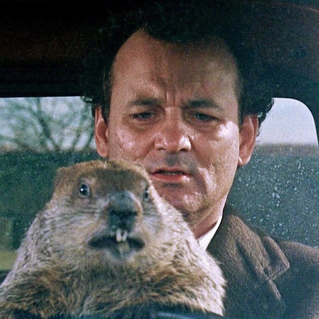 dia-de-marmota Bill-Murray