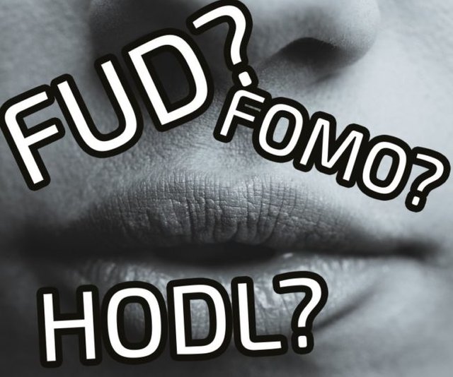 Crypto Slang