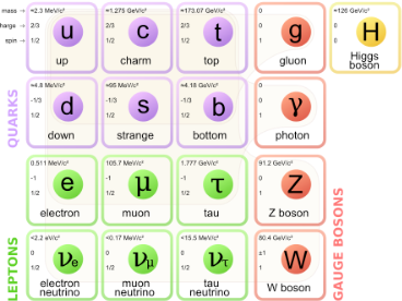 Elementary_particle_-_Wikipedia__the_free_encyclopediaebc07.png