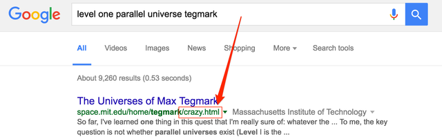 level_one_parallel_universe_tegmark_-_Google_Searchb33f2.png