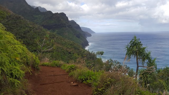 napali31054.jpg