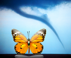 tornado-butterfly9469d.png