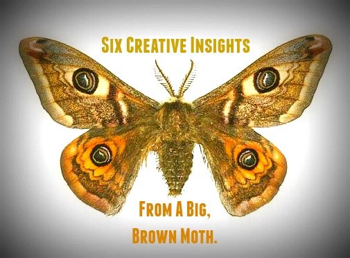 empathicwriter-brown-moth54d79.jpg