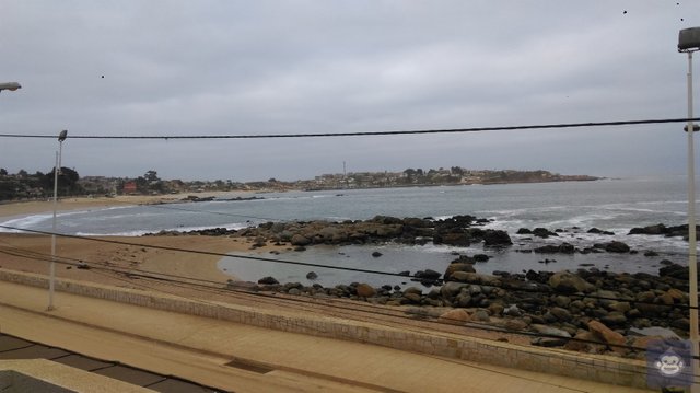 Image of Algarrobo