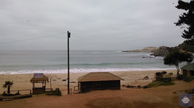 Image of Algarrobo