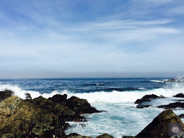 Image of Isla Negra