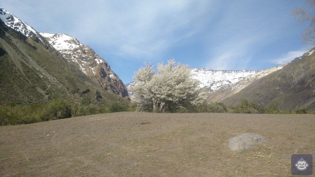 Image of Cajon del maipo