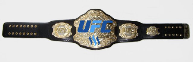 UFC_Title_Belt34ced.jpg
