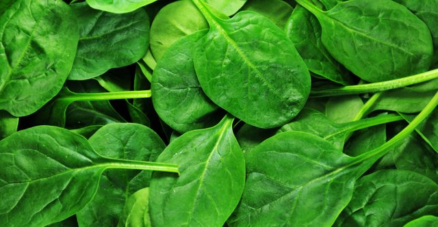 spinach60f19.jpg