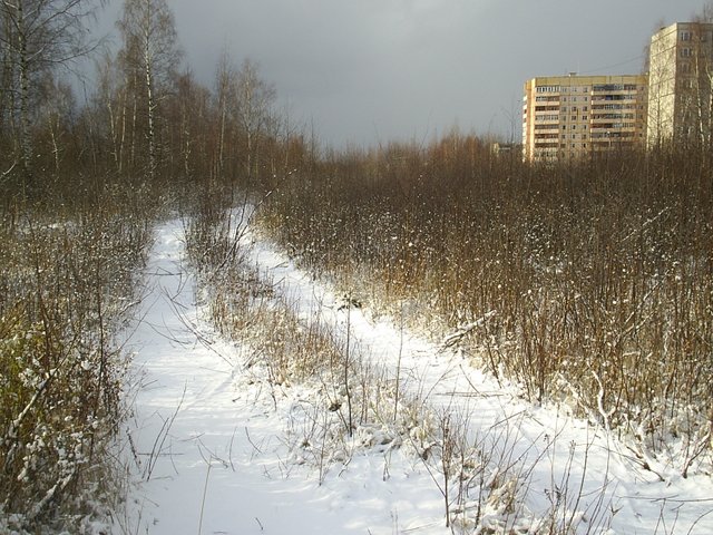 Real Snow Began After Dark >> I Went For A Walk After The First Snow But Suddenly The Sky Closed Real Snow Began After Dark >> I Went For A Walk After The First Snow But Suddenly The Sky Closed