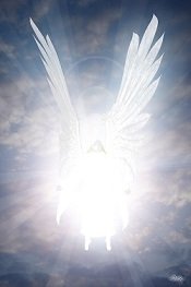 angel-of-light676f3.jpg