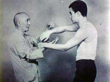 ipman0133d.jpg