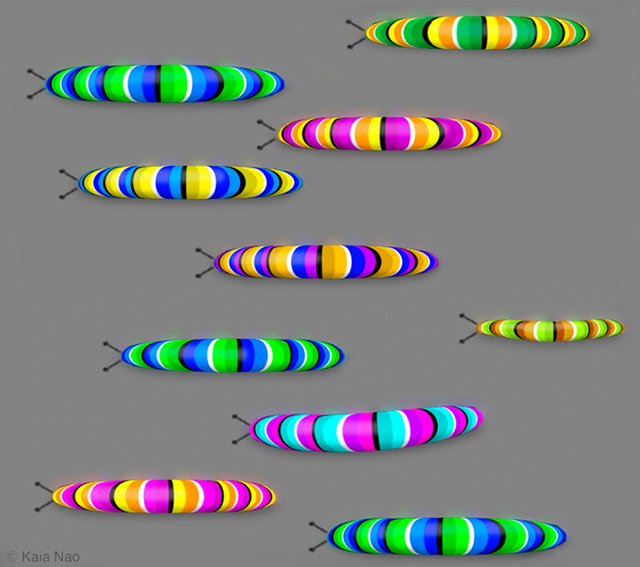 Caterpillar-Race-Illusion-by-Kaia-Nao30571.jpg