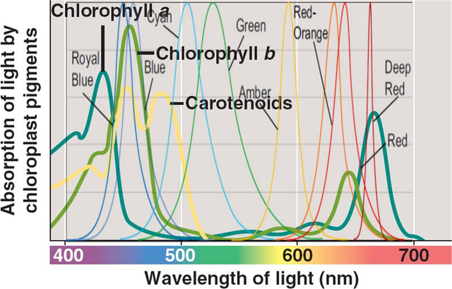 colorlayered57c3a.png