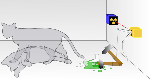Schroedingers_cat4efe2.png