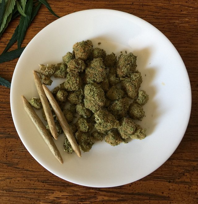 cannabis-1418333_1280cf8eb.jpg