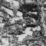 muddy-footprints-of-soldiers-in-france-during-world-war-one-dated-f7pm6f09120.th.jpg