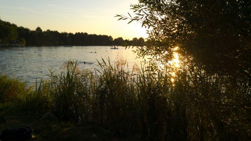 lake-friedberg-late-summer-evening-b2e881.md.jpg