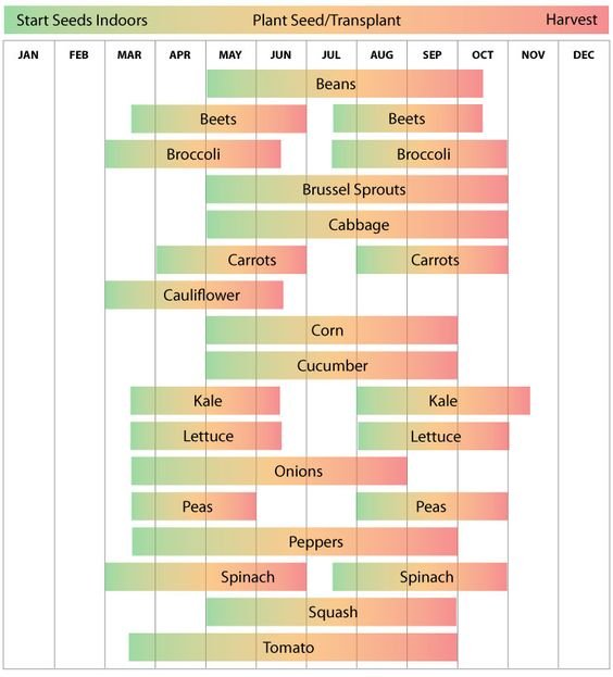 SeasonalPlantingSchedule898d7.jpg