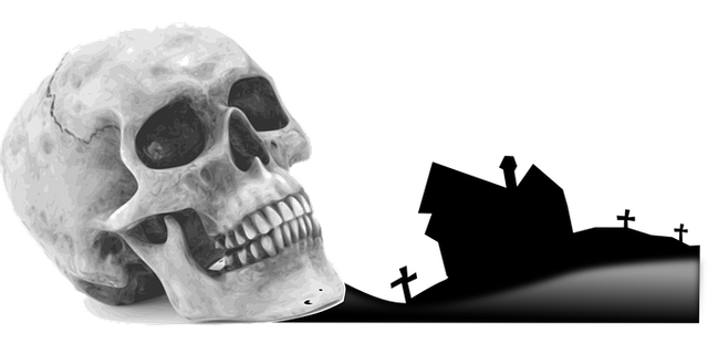 stmskull-151155__340d6f99.png