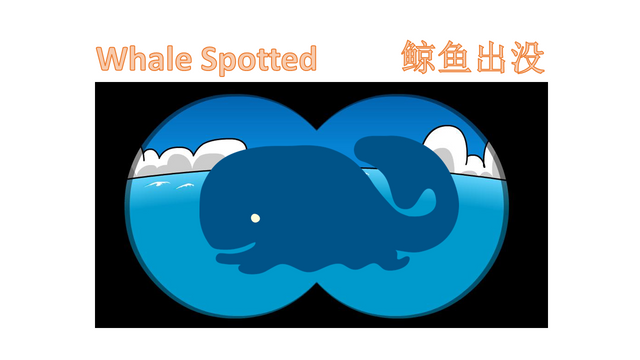 WhaleSpotteddbe70.png