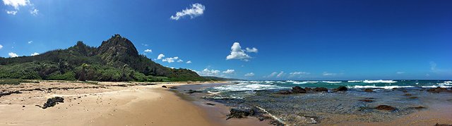 IMG_3776758c5.jpg