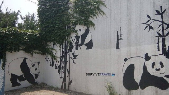 6 Ihwa Mural Village, Seoul, Awesome Things to do in South Korea, Survive Travel