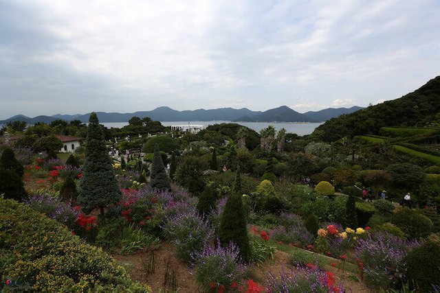 8 Oedo Botania, Awesome Things to do in South Korea, Survive Travel