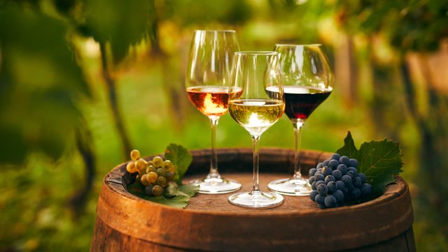 12 Reasons Why You Should Drink Natural Wine