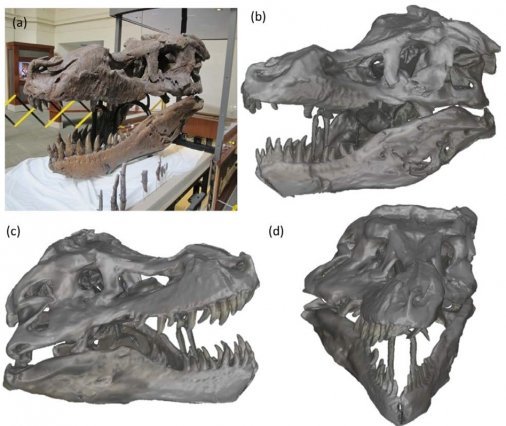 Microsoft, Kinect, Dinosaurier, MIT, Technologie