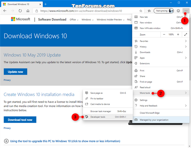 Download Windows 10 ISO File-directly_download_windows_10_iso-1.png