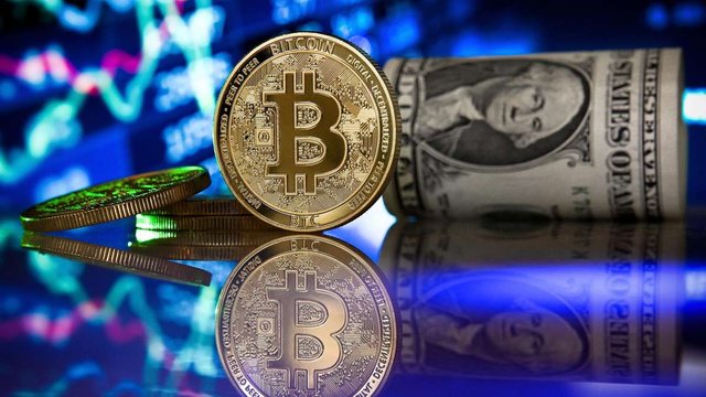 STEEM POSTS