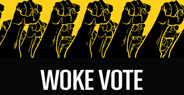 Vote For Woke You Racist!
