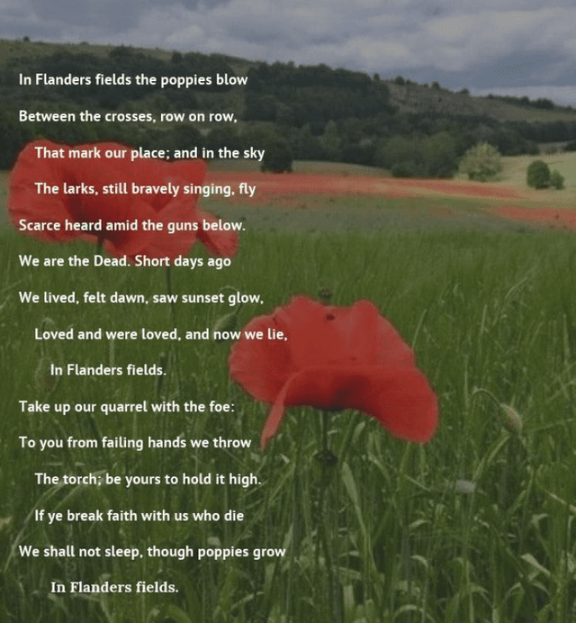 In Flanders Fields