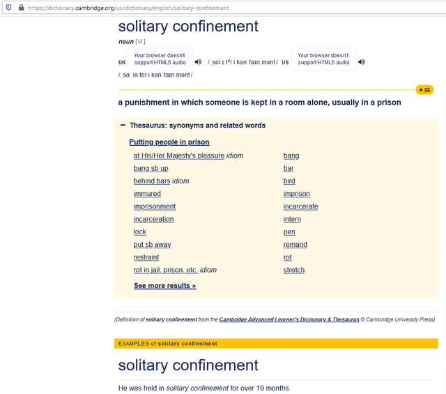 Cambridge Dictionary Definition Of Solitary Confinement