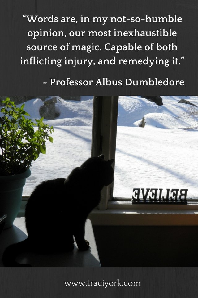 Witch Quote Challenge Week 1 Dumbledore Quote