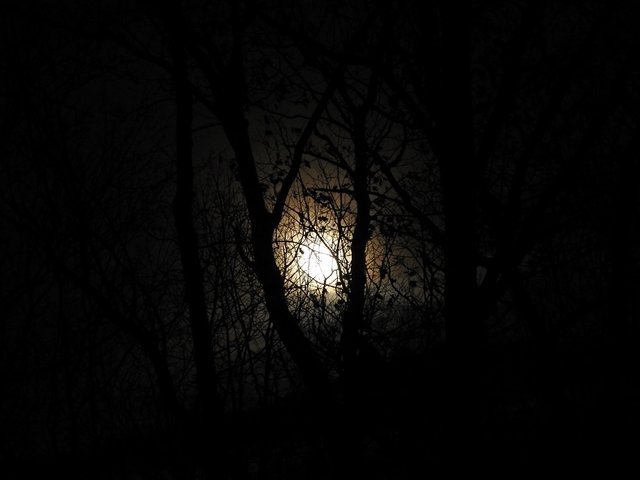 November 12th 2019 Full Mourning Moon