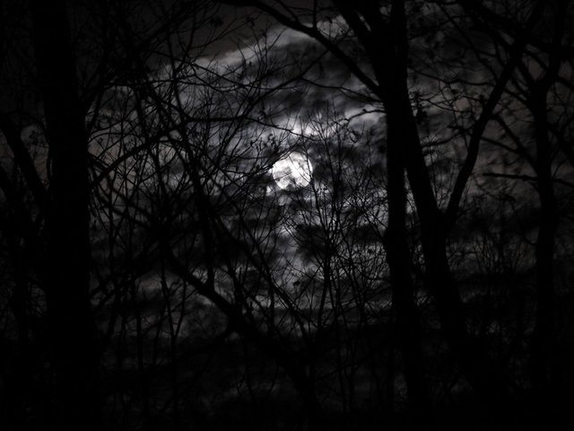 November 12th 2019 Full Mourning Moon