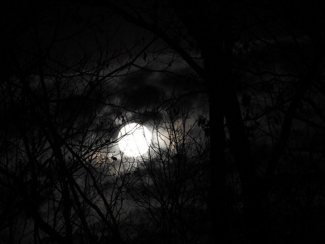 November 12th 2019 Full Mourning Moon