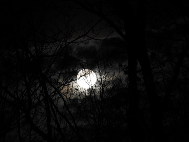 November 12th 2019 Full Mourning Moon