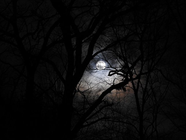 January 10th Full Wolf Moon