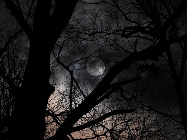 January 10th Full Wolf Moon