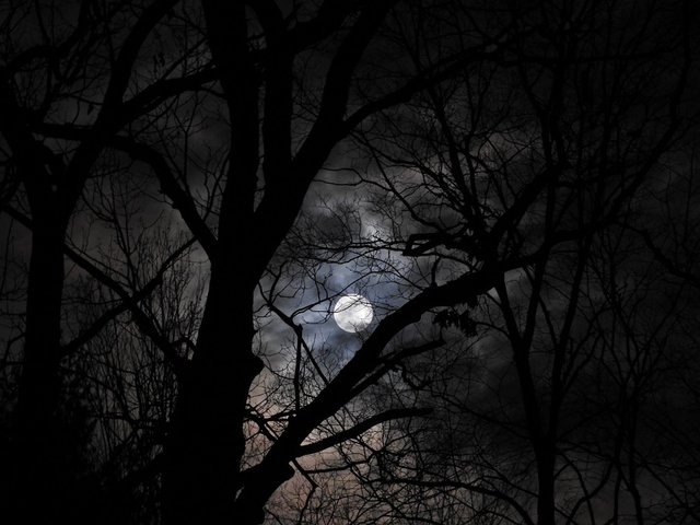 January 10th Full Wolf Moon