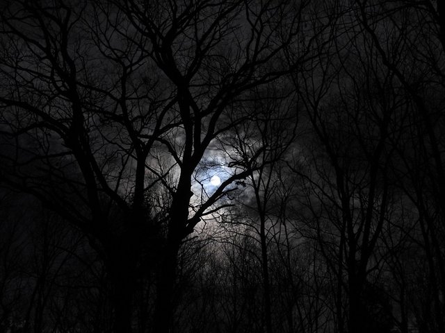 January 10th Full Wolf Moon