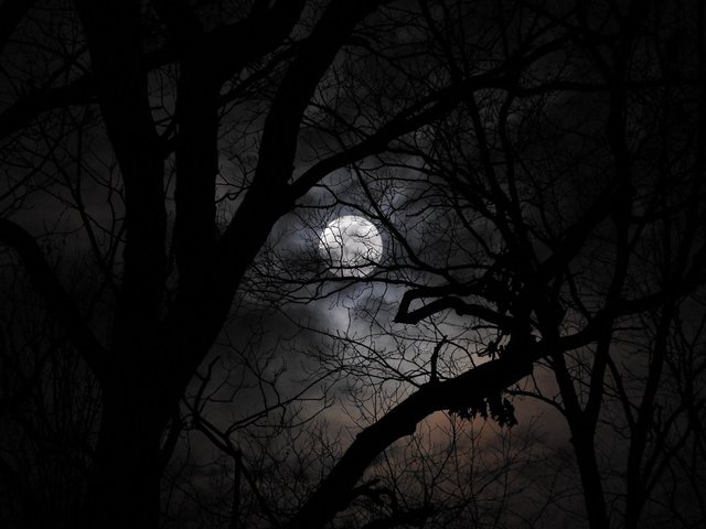 January 10th Full Wolf Moon